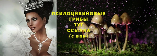 тгк Арсеньев