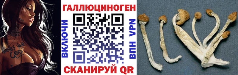 наркошоп  Владивосток  Псилоцибиновые грибы мухоморы 